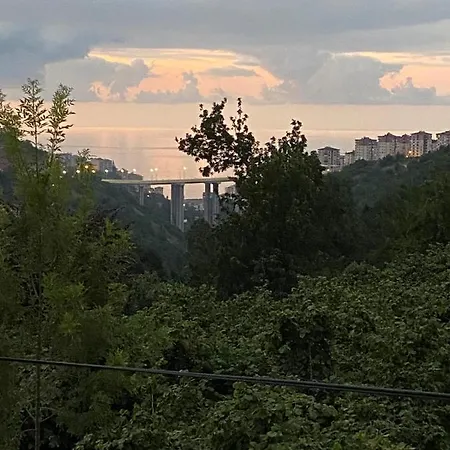 Sky Hisar فيلة